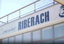 Hôtel écolodge – domaine riberach : séjour luxe ou escapade nature ? Hôtel écolodge - domaine riberach