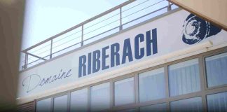 Hôtel écolodge – domaine riberach : séjour luxe ou escapade nature ? Hôtel écolodge - domaine riberach