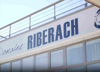 Hôtel écolodge – domaine riberach : séjour luxe ou escapade nature ? Hôtel écolodge - domaine riberach