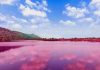 Lac natron en Tanzanie : volcan, flamants roses et paysages surréalistes