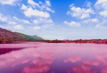 Lac natron en Tanzanie : volcan, flamants roses et paysages surréalistes