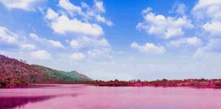 Lac natron en Tanzanie : volcan, flamants roses et paysages surréalistes