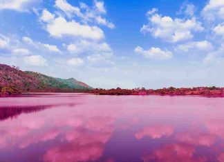Lac natron en Tanzanie : volcan, flamants roses et paysages surréalistes