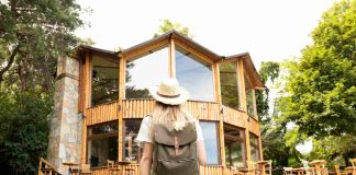 Casanette : que cache vraiment ce concept d’hébergement tendance ? casanette