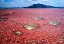 Lac natron Tanzanie : pourquoi ce lac rouge fascine les voyageurs ? lac natron en Tanzanie