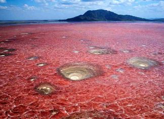 Lac natron Tanzanie : pourquoi ce lac rouge fascine les voyageurs ? lac natron en Tanzanie
