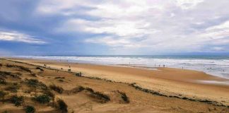 Ile d’Oleron : les plus belles plages où poser sa serviette Ile d'Oleron