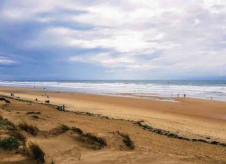 Ile d’Oleron : les plus belles plages où poser sa serviette Ile d'Oleron